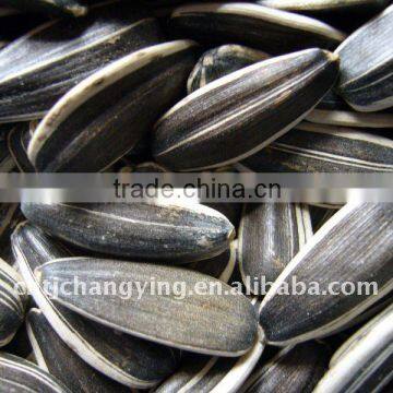 American Sunflower Seeds Manufacturer/factory