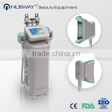 220 / 110V Manufactuer Portable Cryolipolysis Double Handles/cryolipolysis Skin Lifting Slim/cryolipolysis 4 In 1 Slimming Machine/ce