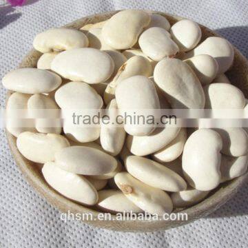 bulk kidney beans, white kidney, beans for sale