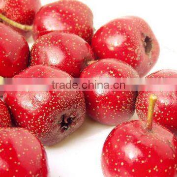 2015 Popular Healthy no Additive and Good for Digestion Haw Soft Drinks photo-5