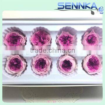 Fresh Cut Roses Preserved Fresh Flower Asuting Rose For Wedding Decoration photo-5