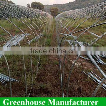Cheap Plastic Single Tunnel Tomato Greenhouse photo-2
