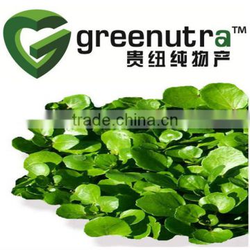 Nasturtium officinale extract