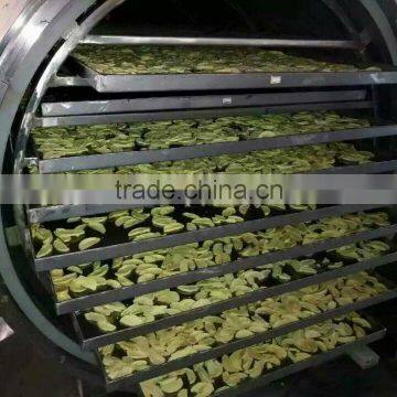 Blueberry Vacuum Freeze Drying Machine