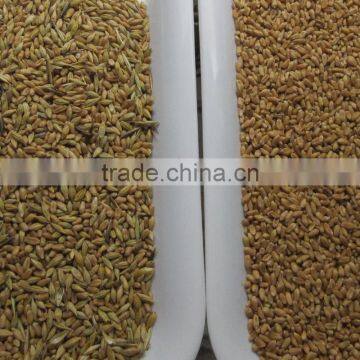 High Capacity CCD Wheat Color Sorter With Resort Configuration photo-2