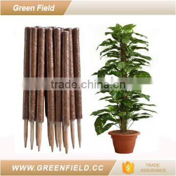 Eco-friendly Garden Pot Plant Support Stakes