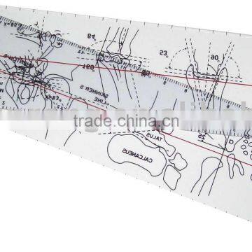 Goniometer/pain scale