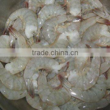 Vannamei Shrimps