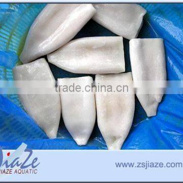 LATEST PROCESSING U5 U7 U10 FROZEN Squid Tube