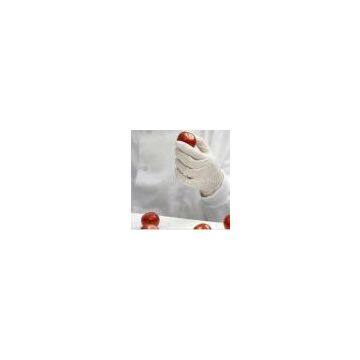disposable latex gloves with powder