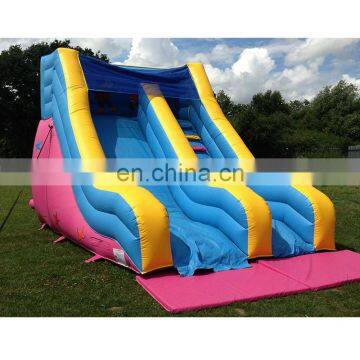 Cheap Price Small Dual Lane Inflatable Slide for supply