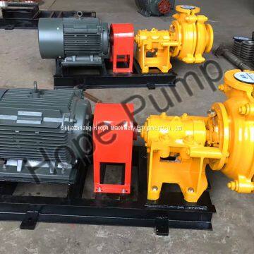 Interchangeable Slurry Pumps photo-2