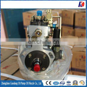 BQT4A-10.0-06QC(BH4QT95R9) 4QTF702 injection pump 2410201240074 for Quanchai 4105AL/2400