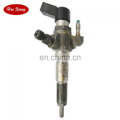 Common Rail Injector/Diesel Injector 9674973080/967 497 3080/50274V05