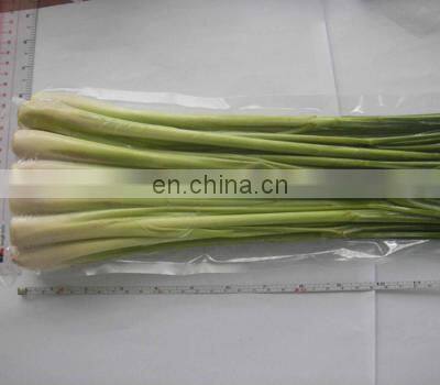 Frozen Vietnam Lemongrass With High Quality