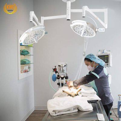 72pieces LED Plastic Surgery Veterinary Medical Oral Implants Ceiling Shadowless Operation Lamp photo-3