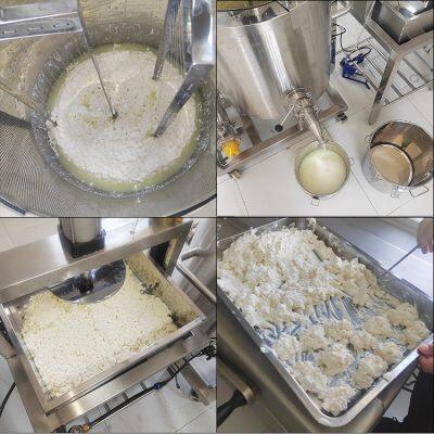 Fermented Milk, Cheese, Dairy Product Production Line, Whey Wine, Milk, Yogurt, Dairy Product Processing Machinery photo-2