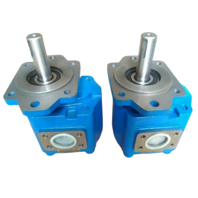 E Series Hydraulic Gear Pump E66 Single Gear Oil Pump for Oil Field High Pressure Gear Rotor Pump photo-4
