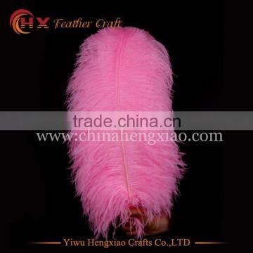 CHINA HX Factory Wholesale Hight Quality Bulk Ostrich Feathers for Sale photo-3