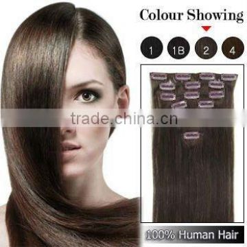 Super Quality Clip In Hair Extensions Free Sample