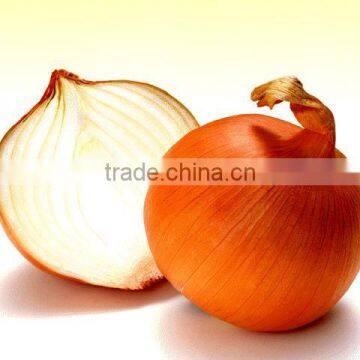 Fresh Brown Onion