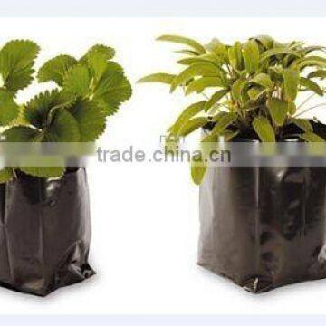 Plastic nursery seedling pots