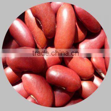 British dark red kidney beans