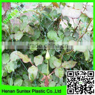Supper Hdpe Tomato /cucumber Plant Support Net photo-2