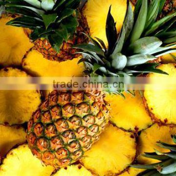 fresh pineapple