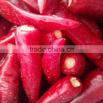 IQF frozen chilli/BQF chilli paste with BRC certificate