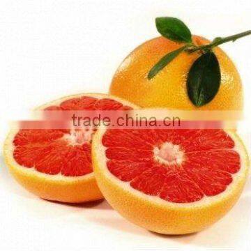 Grapefruit oil