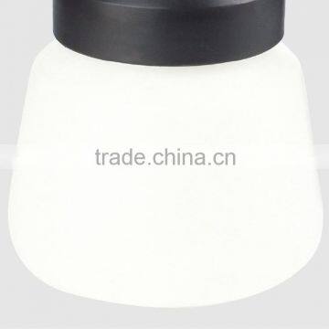 Wholesale 350W Powerful Single Speed Portable Paint Power Sprayer photo-3