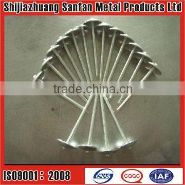 galvanized twised wire coil nails