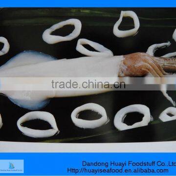 frozen squid ring