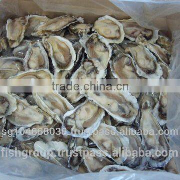 FROZEN RAW OYSTER HALF-SHELL