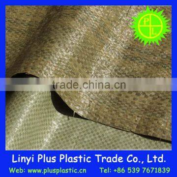 package for food,feed,chemical pp woven bag