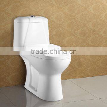 Water Marks Dual Flush Siphonic S Trap One Piece Toilet AT616