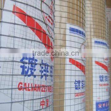 Galvanized and PVC Vinyl Coated Welded Wire Mesh (Anping Factory) photo-5