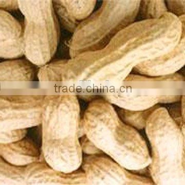 2015 raw peanuts for sale peanut suppliers, peanut butter