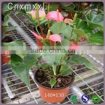plastic blister garden soft flower pot