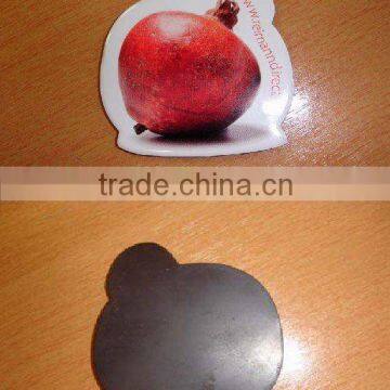 Promotion paper Fridge magnets