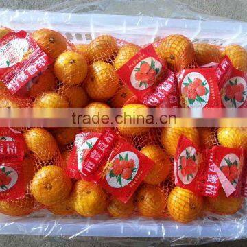 Hot Sale High Quality Mandarin Orange