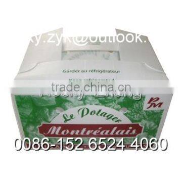 GOOD corrugated Plastic Agriculture Packing carton transfer box