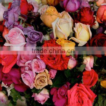 Fresh Cut Roses photo-1