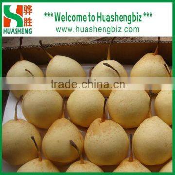 Hot Sale China New Year Crispy Fresh Ya Pear