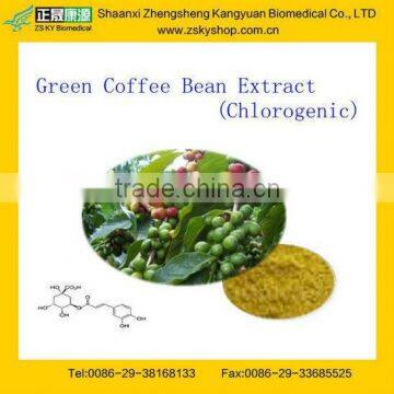 GMP Certified Natural Green Coffee Bean Extract 50%