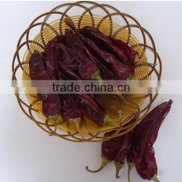 Chinese manufacturer supplier A Grade ISO, HACCP, HALAL Certification 80-240 asta hot selling red sweet paprika chilli