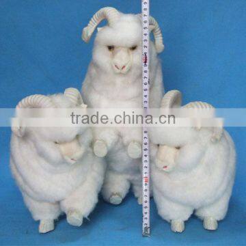 Realistic Taxidermy Replica Wholesale Goat Toy Sale photo-6