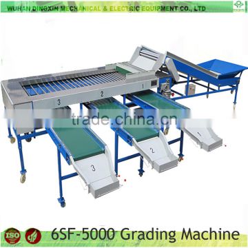 High Quality Fruit and Vegetable potato orange processing machine