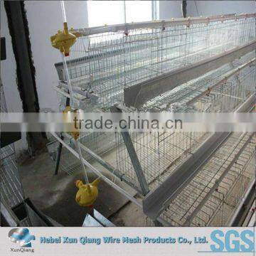 Better Factory A and H type bird chicken layer cage